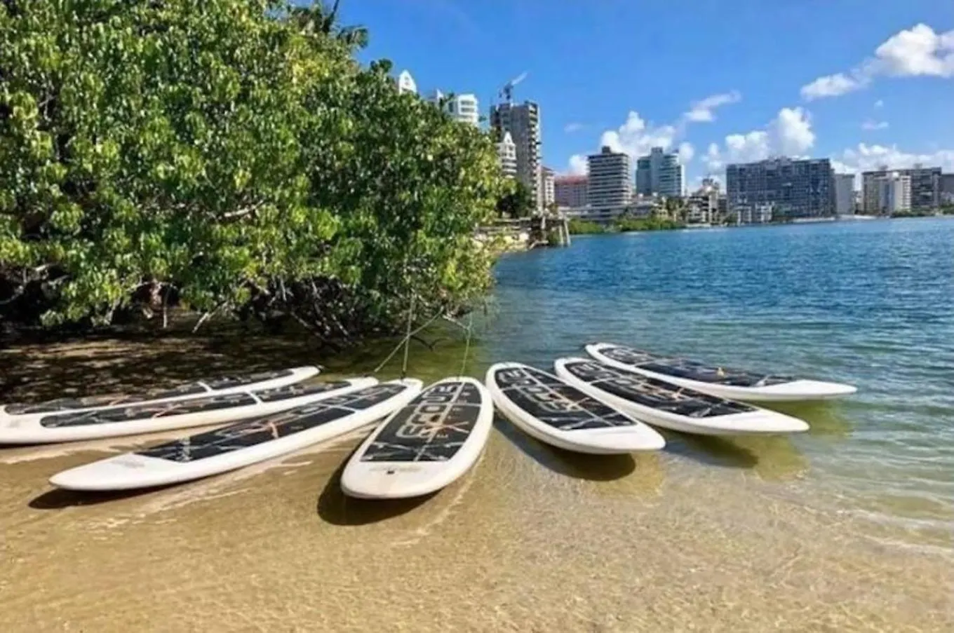 P5 Pr Rentals Condado Beach Great Location San Juan Puerto Rico